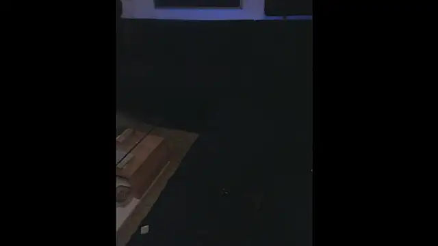 Snapshot of LuggiJack chatting on 01-26-25, 06:27 LuggiJack online show from 01-26-25, 06:27