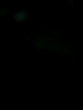 Snapshot of Karthik924 chatting on 02-01-25, 06:19 Karthik924 online show from 02-01-25, 06:19