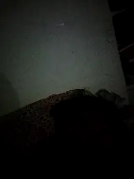 Snapshot of Karthik924 chatting on 02-21-25, 05:09 Karthik924 online show from 02-21-25, 05:09