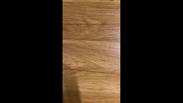 Hungry  Puppy online show from 04-08-26, 10:10