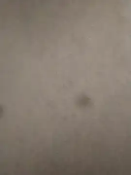 Snapshot of rohitlov150 chatting on 02-23-25, 06:12 rohitlov150 online show from 02-23-25, 06:12