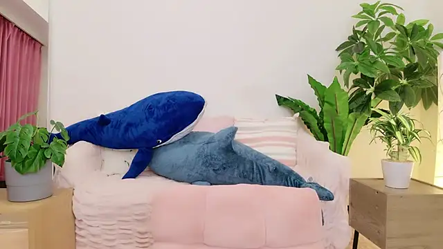 cohaku 329 online show from 01-09-25, 01:13