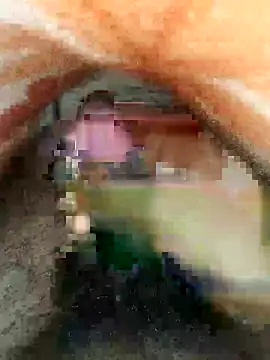 Snapshot of cjonybab chatting on 02-18-25, 04:48 cjonybab online show from 02-18-25, 04:48