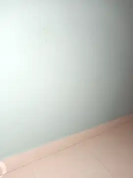 Snapshot of wild_bong_queen chatting on 12-08-24, 05:22 wild bong queen online show from 12-08-24, 05:22