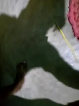 Snapshot of hotbaby_5 chatting on 01-05-25, 02:52 hotbaby 5 online show from 01-05-25, 02:52