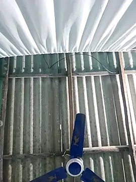 hotbaby 5 online show from 11-22-25, 06:34