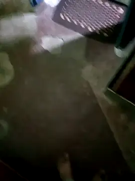 InboardHasek online show from 12-05-24, 01:28