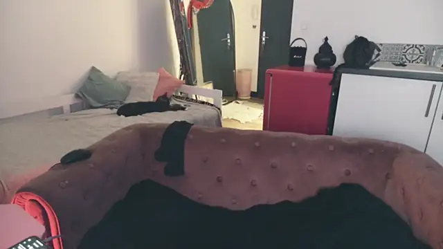 ce leste   online show from 01-10-26, 06:59