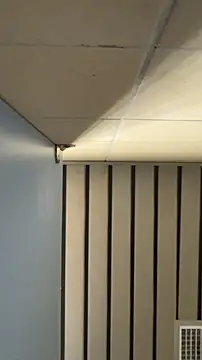 frnk30151 online show from 09-21-25, 03:02