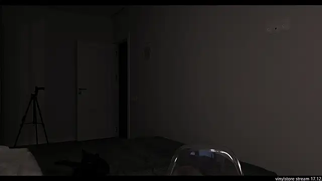 Snapshot of vinylstore chatting on 12-17-25, 05:19 vinylstore online show from 12-17-25, 05:19