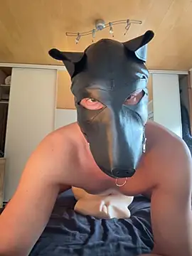 Snapshot of PlayDog123 chatting on 10-16-25, 02:29 PlayDog123 online show from 10-16-25, 02:29