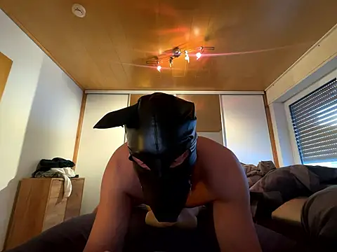 PlayDog123 online show from 01-11-26, 01:49