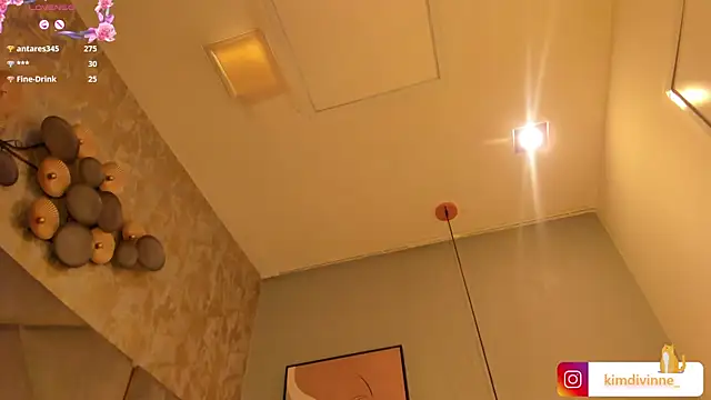 KimDevinne online show from 02-14-25, 05:41