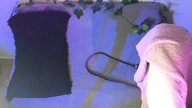 Snapshot of Alahia7demon chatting on 02-09-26, 02:04 Alahia7demon online show from 02-09-26, 02:04