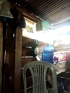 Huebolocko online show from 01-01-25, 03:57