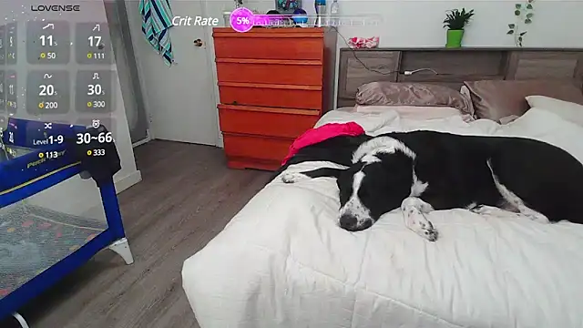 Kittyymaze1 online show from 03-02-25, 02:32