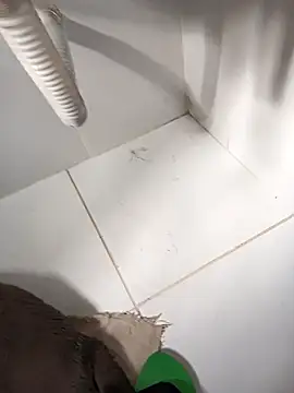 Snapshot of lobomisterioso13 chatting on 03-14-25, 12:07 lobomisterioso13 online show from 03-14-25, 12:07