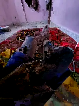 Ssdhaka11 online show from 11-06-25, 02:51