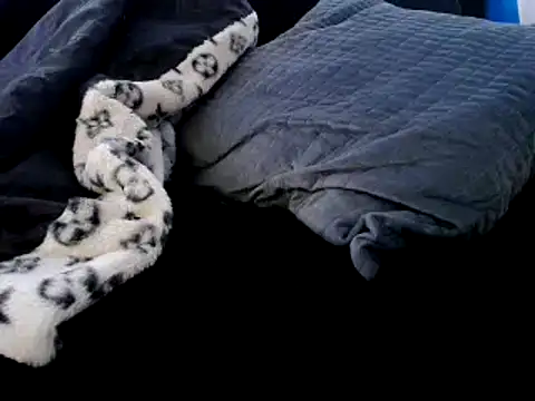 Niquitasparkles online show from 12-23-24, 12:35