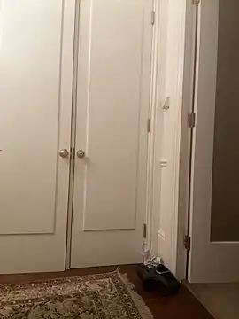 Snapshot of francaFerrariRoma chatting on 12-28-24, 03:26 francaFerrariRoma online show from 12-28-24, 03:26