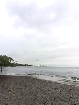 Snapshot of IaDoherty chatting on 09-12-25, 10:21 IaDoherty online show from 09-12-25, 10:21