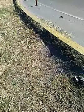 Alysson-- online show from 01-20-25, 01:00