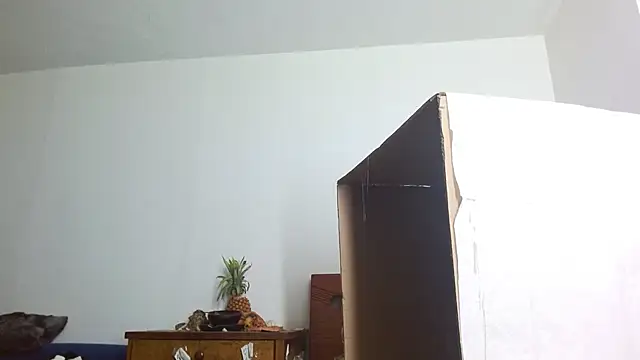 Snapshot of Party_trans chatting on 12-14-24, 10:39 Party trans online show from 12-14-24, 10:39