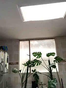 Miss oliviaa online show from 11-26-25, 05:14