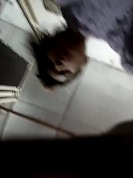 zoya khan25 online show from 12-28-24, 02:42