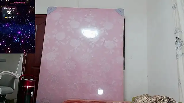 baoer-558 online show from 12-18-24, 06:46