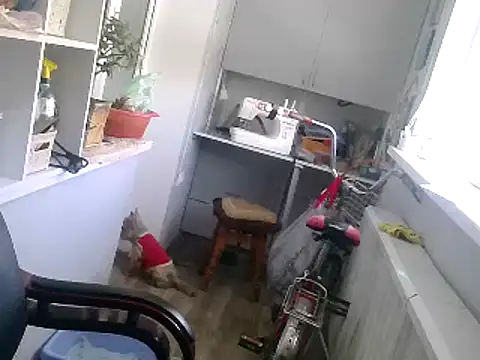 TanyaSweet634 online show from 02-22-25, 10:40