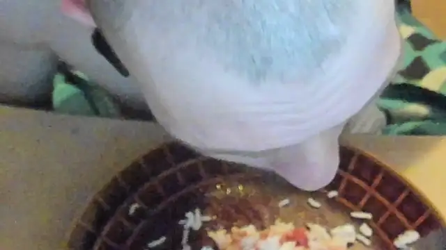 Snapshot of sexy264329 chatting on 03-07-25, 04:22 sexy264329 online show from 03-07-25, 04:22