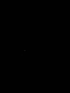 Snapshot of amala_ss chatting on 02-05-25, 04:25 amala ss online show from 02-05-25, 04:25