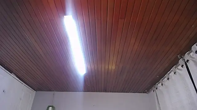 Snapshot of Scarllett_BDSM chatting on 11-29-25, 05:10 Scarllett BDSM online show from 11-29-25, 05:10