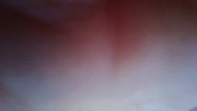 Evasapples online show from 07-20-26, 07:38