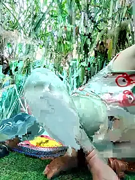 Betty20zx online show from 11-12-25, 02:01