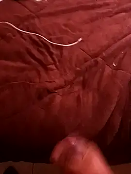 Snapshot of pedritolobito chatting on 12-17-24, 04:11 pedritolobito online show from 12-17-24, 04:11