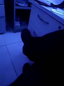 Snapshot of pedritolobito chatting on 04-11-26, 03:22 pedritolobito online show from 04-11-26, 03:22