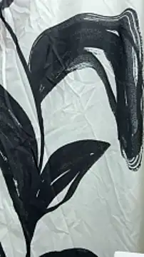 B and K online show from 12-29-24, 04:38