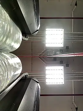 Snapshot of luv2masterb8247 chatting on 03-21-25, 02:07 luv2masterb8247 online show from 03-21-25, 02:07