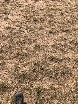 Snapshot of Black_mamba_madingo chatting on 12-10-24, 03:01 Black mamba madingo online show from 12-10-24, 03:01