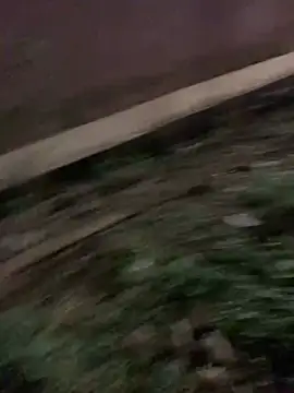 Snapshot of Black_mamba_madingo chatting on 01-17-25, 06:33 Black mamba madingo online show from 01-17-25, 06:33