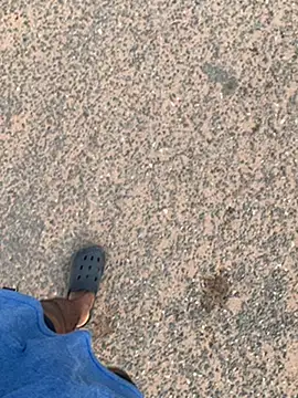 Snapshot of Black_mamba_madingo chatting on 01-30-25, 08:11 Black mamba madingo online show from 01-30-25, 08:11