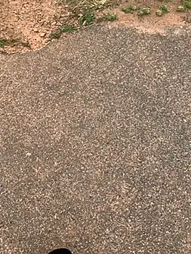 Snapshot of Black_mamba_madingo chatting on 02-15-25, 12:11 Black mamba madingo online show from 02-15-25, 12:11