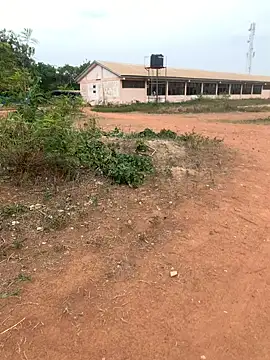 Snapshot of Black_mamba_madingo chatting on 02-22-25, 03:25 Black mamba madingo online show from 02-22-25, 03:25