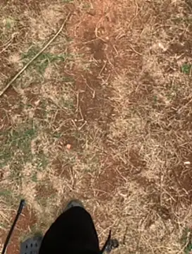 Snapshot of Black_mamba_madingo chatting on 02-23-25, 01:10 Black mamba madingo online show from 02-23-25, 01:10