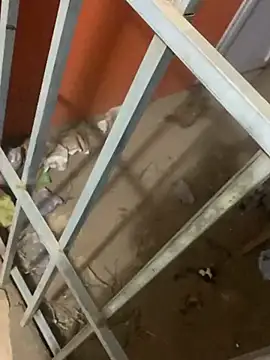 Snapshot of Black_mamba_madingo chatting on 03-12-25, 04:08 Black mamba madingo online show from 03-12-25, 04:08