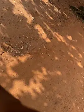 Snapshot of Black_mamba_madingo chatting on 03-21-26, 08:41 Black mamba madingo online show from 03-21-26, 08:41