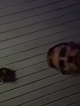 luv2cum7491 online show from 12-20-24, 07:33