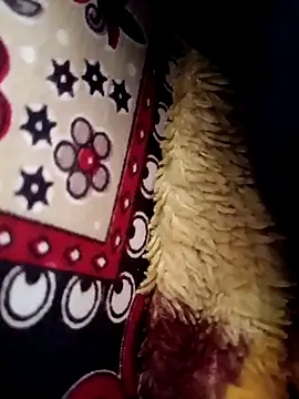 Gujrat player online show from 03-13-25, 08:04